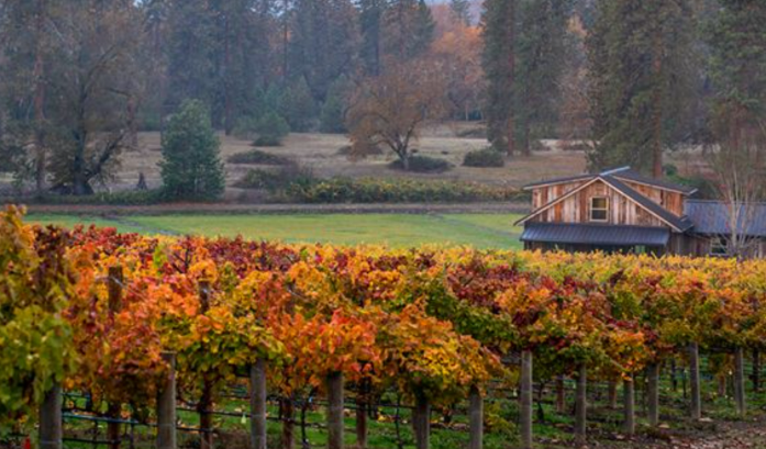 Bayer Family Estate