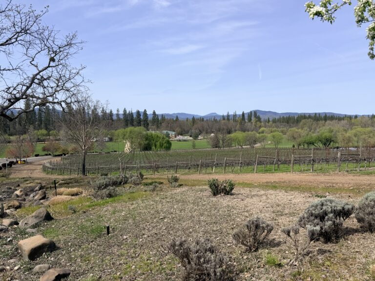 Bayer Family Estate