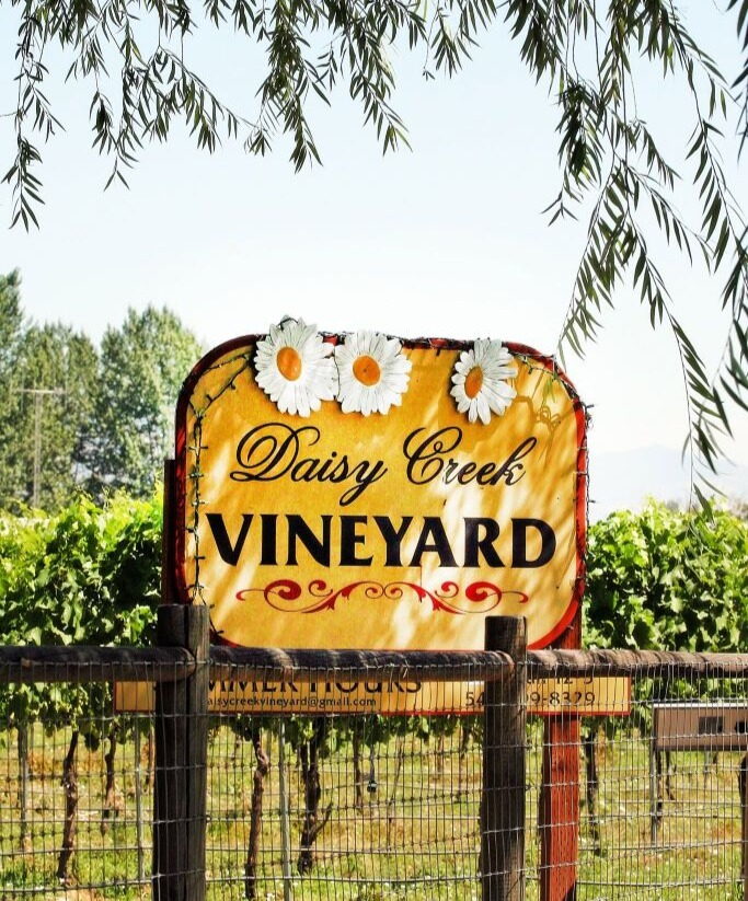 Daisy Creek Vineyard