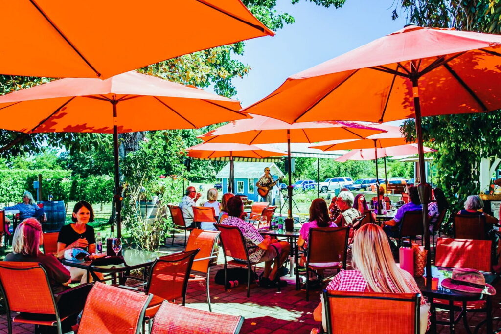 Daisy Creek Vineyard