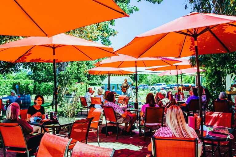 Daisy Creek Vineyard