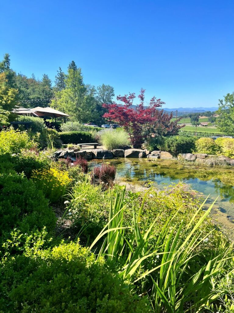 DANCIN Vineyards