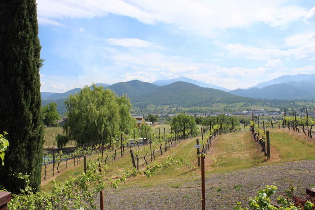 Paschal Winery and Vineyard