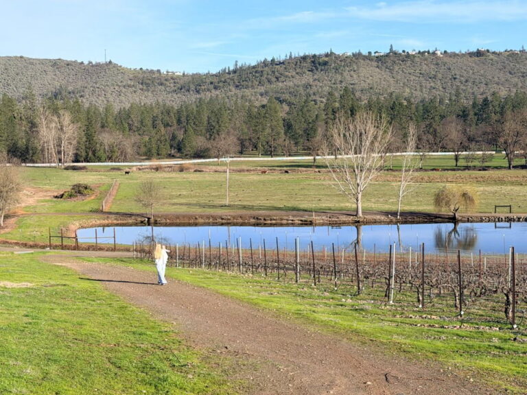 Kriselle Cellars