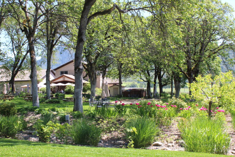 Troon Vineyard