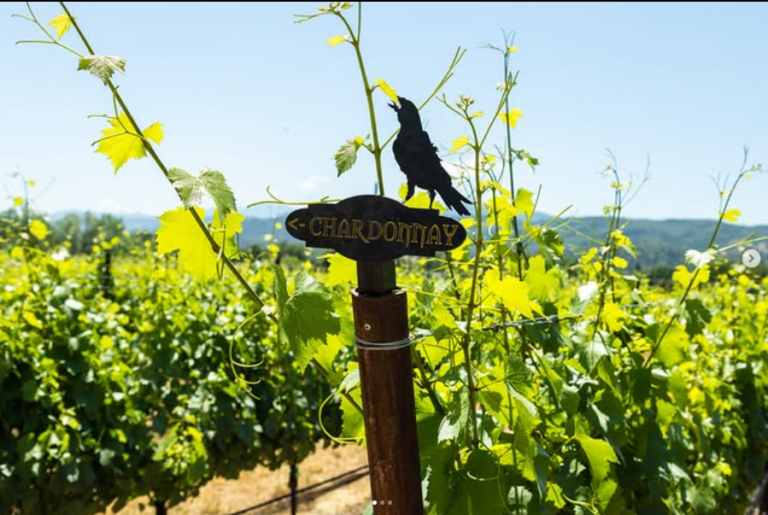 Rellik Winery