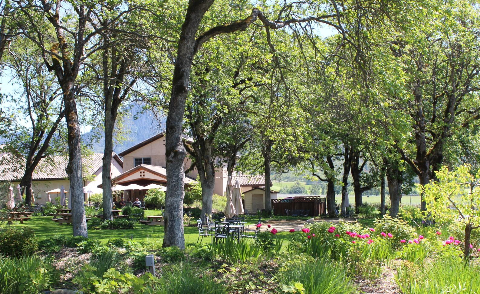 Troon Vineyard