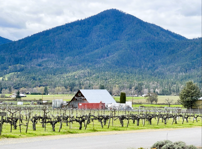 Valley View Winery