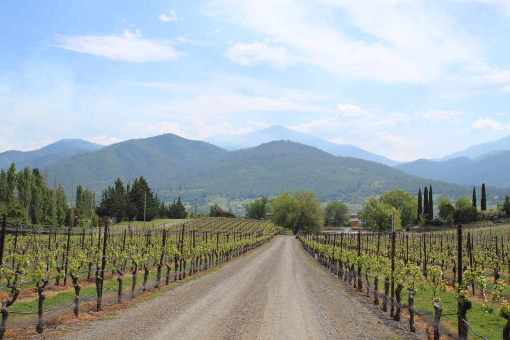 Paschal Winery and Vineyard