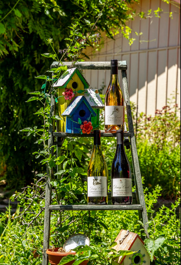 Daisy Creek Vineyard