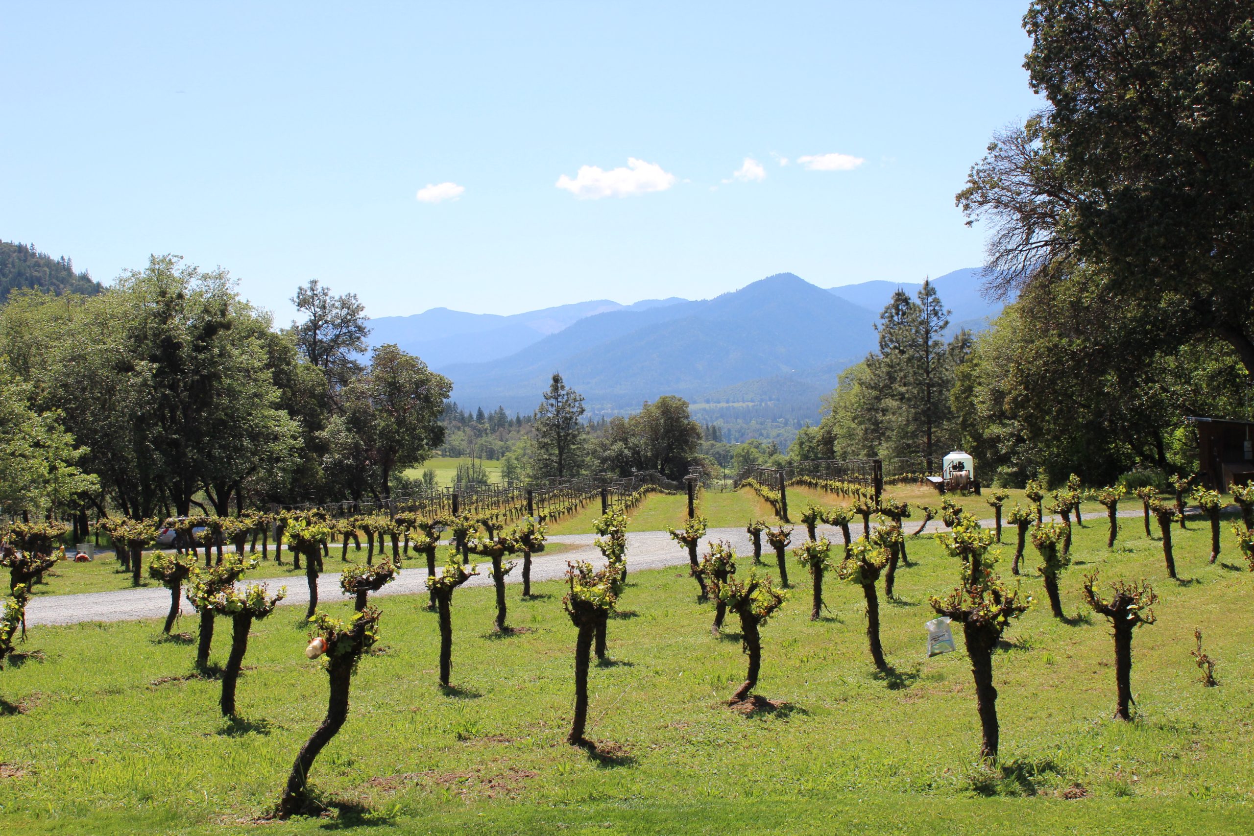Wooldridge Creek Winery