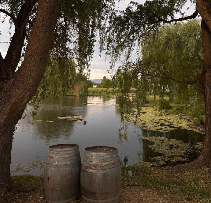 Dos Mariposas Vineyard