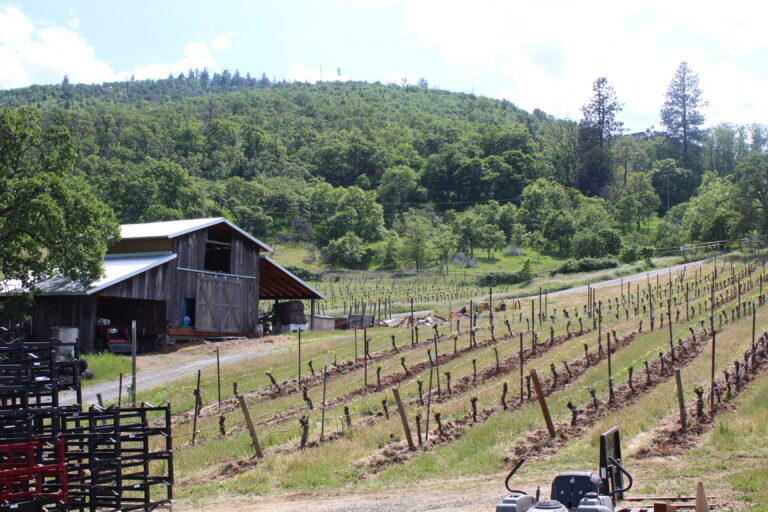 Weisinger Family Winery