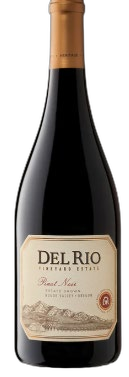 2023 Pinot Noir