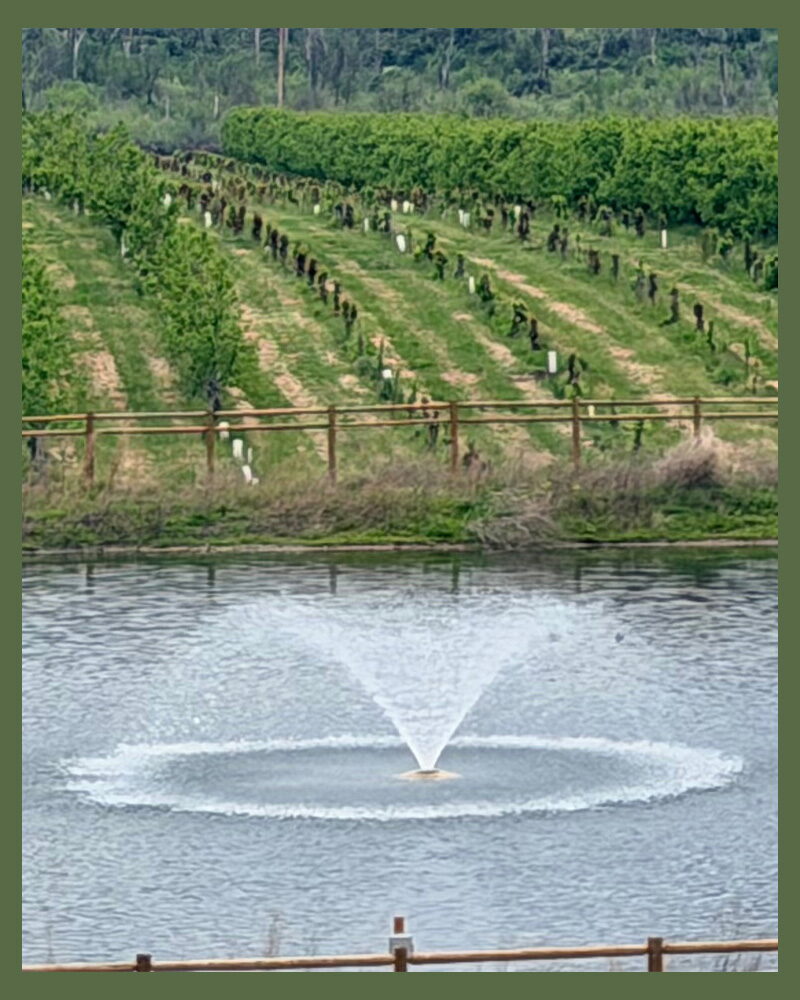 Southern Rogue Valley